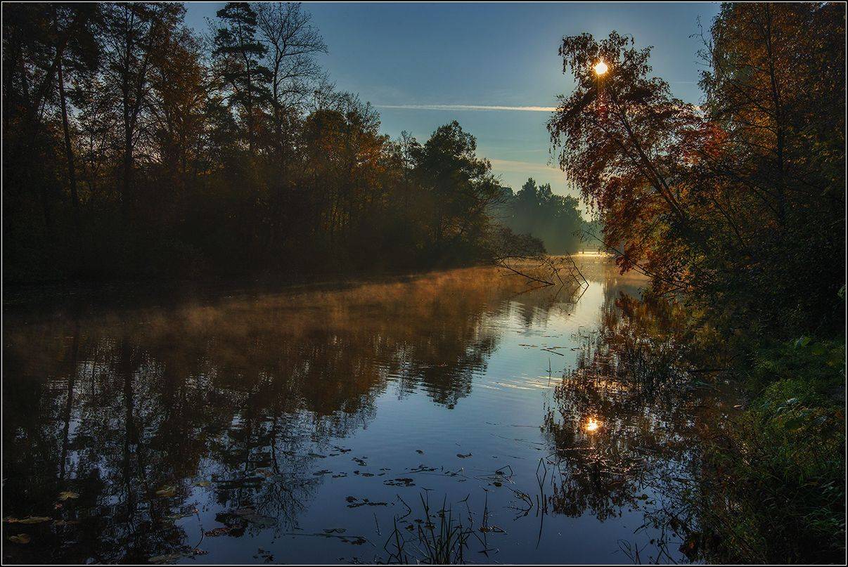 москва, осень, озеро, туман, солнце, лес, АНАТОЛИЙ ДОВЫДЕНКО