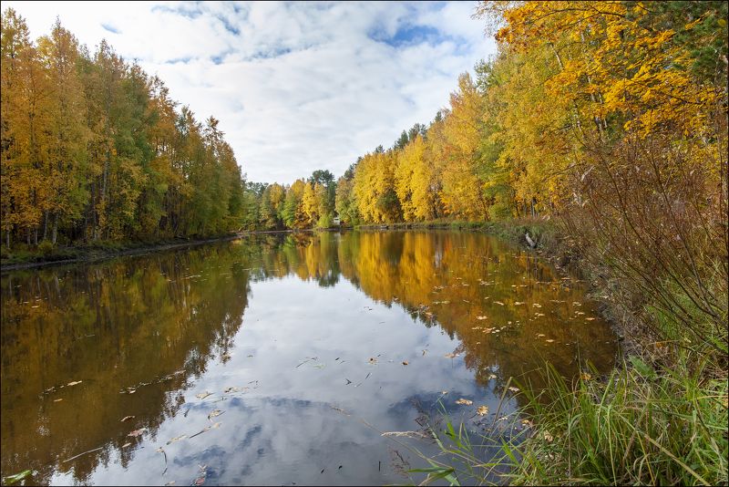 река Сестра фото превью
