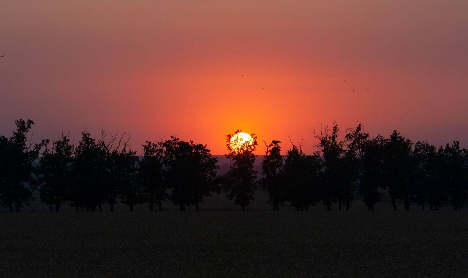 , Алёна Данильчук