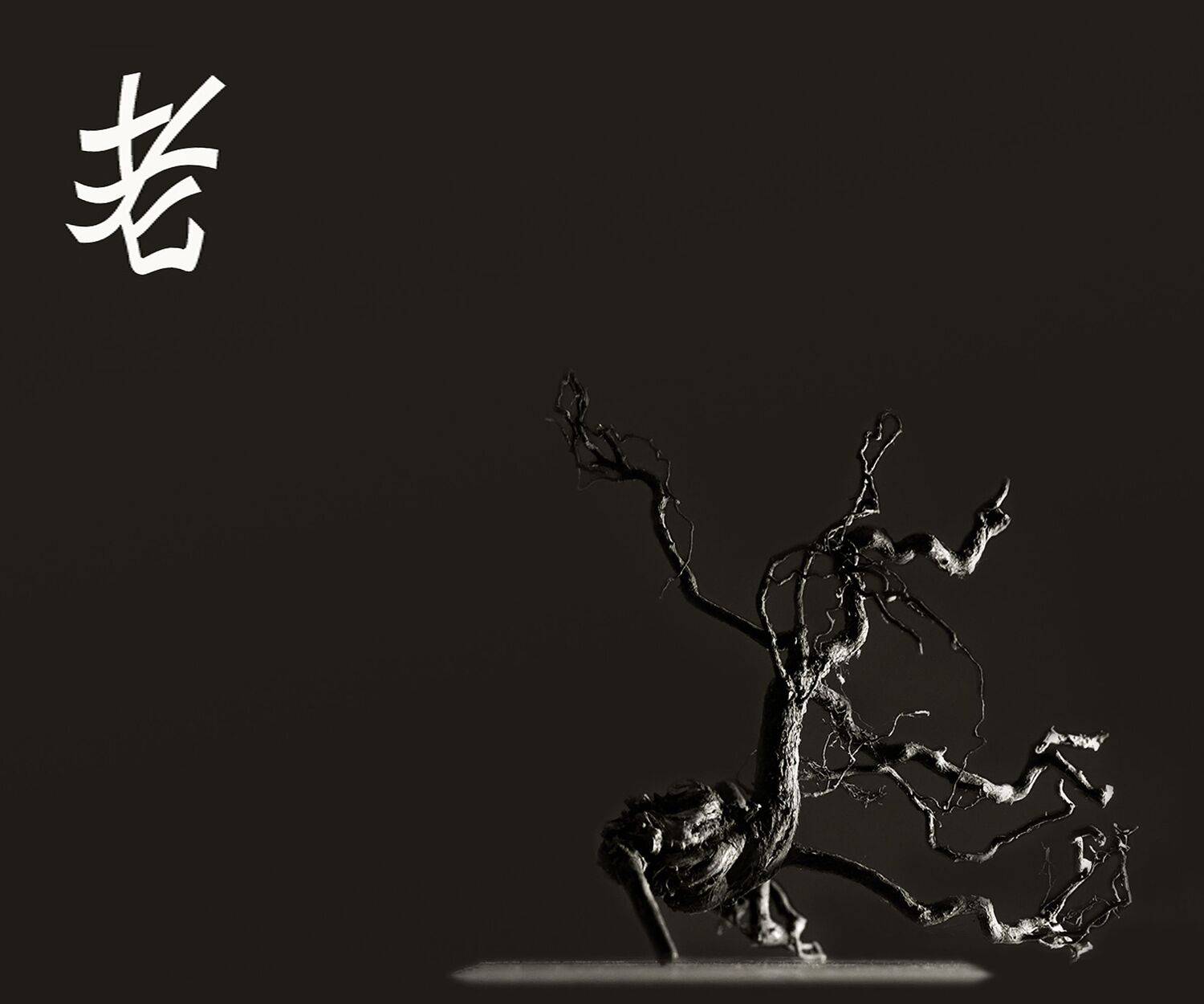 , Ольга Заболотская