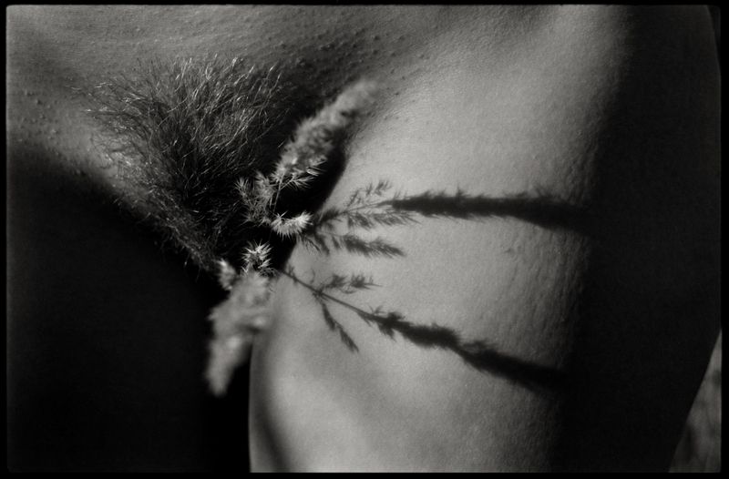 **** фото превью