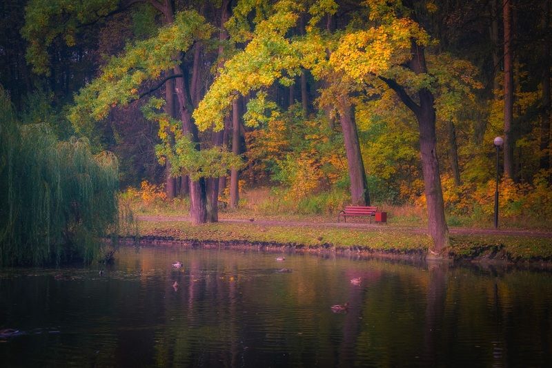 Осень в парке фото превью