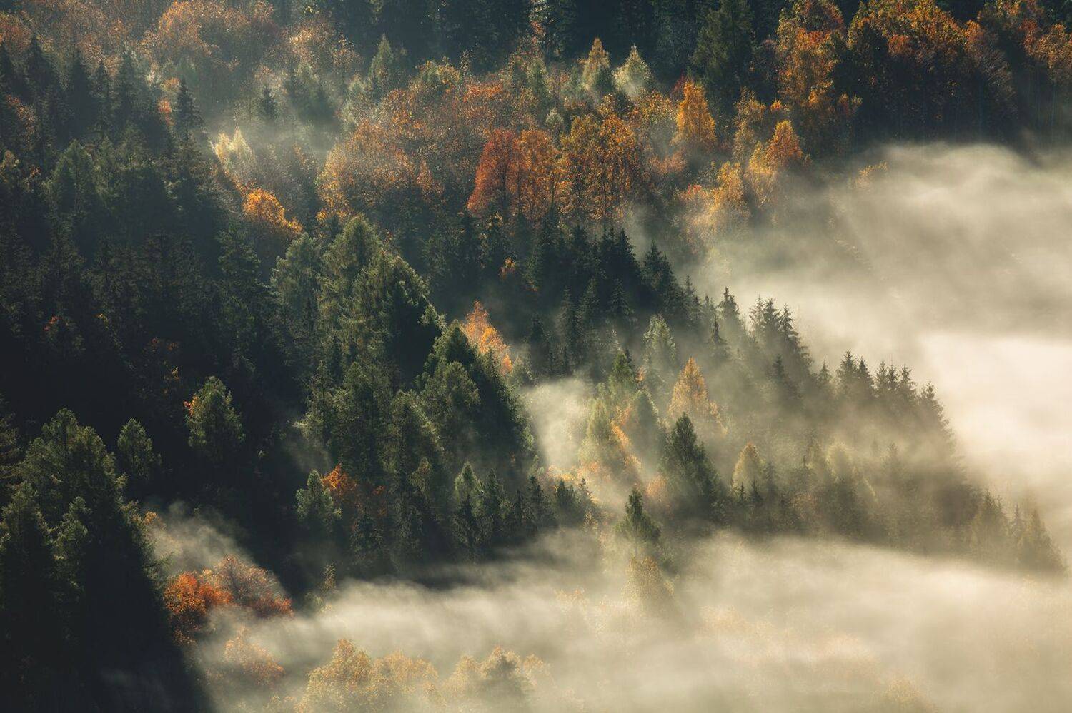 landscape,autumn,mountains,canon, Iza i Darek Mitręga