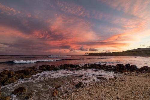 Look at my king all dressed in pink