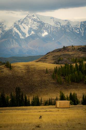 To the Mountains view