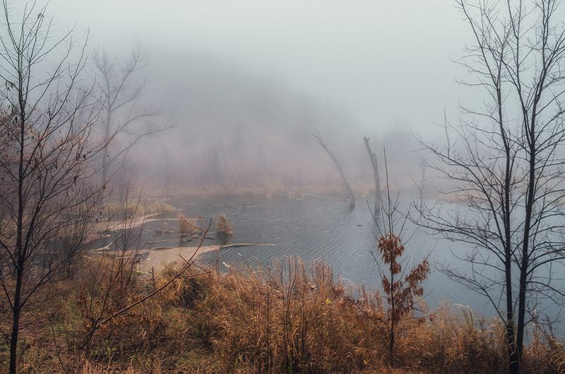 Туманное настроение фото превью