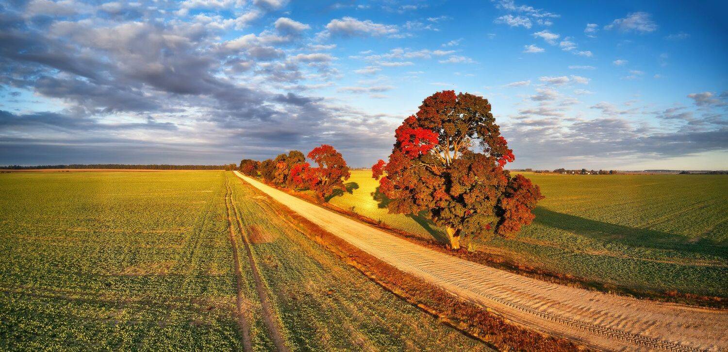 беларусь, дорога, клены, минск и окрестности, облака, осень, рассвет, сентябрь, утро, Вейзе Максим