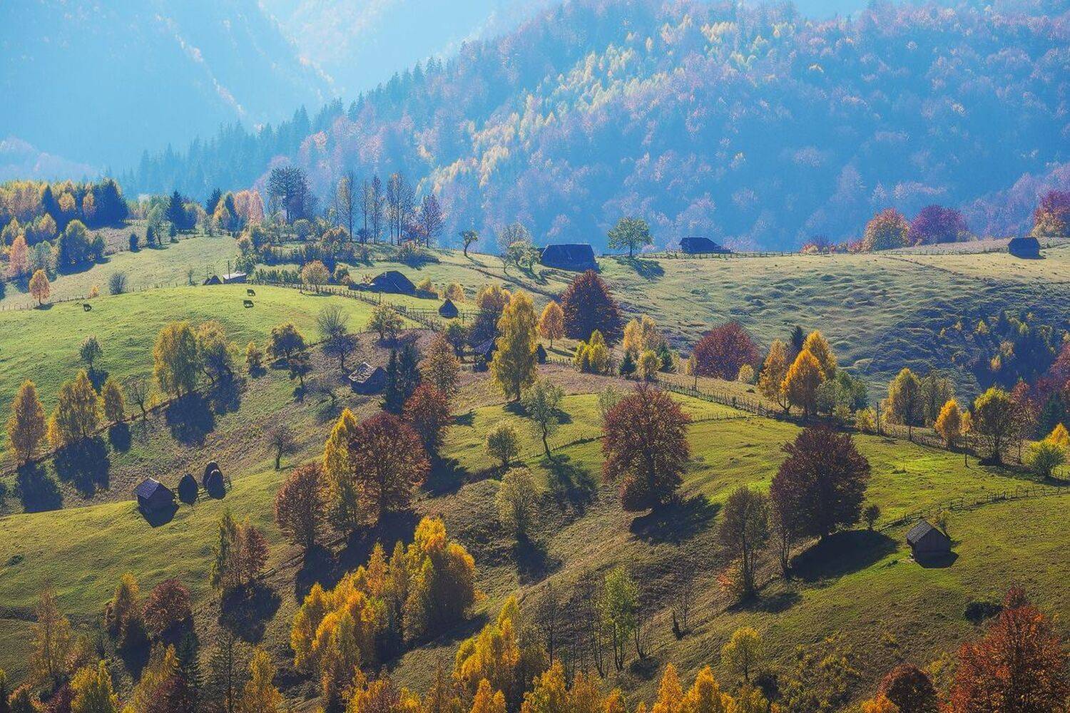, Stefan Chirobocea