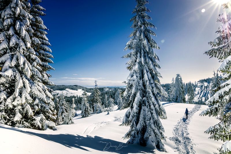 Gorce Mountains фото превью