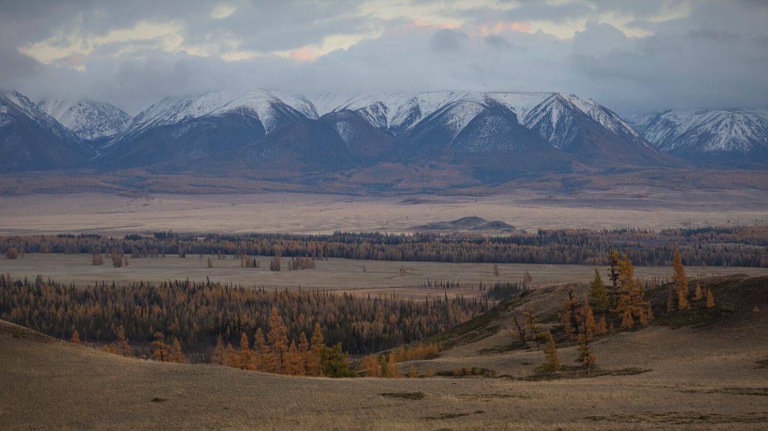 природа,алтай,курайскаястепь,вечер,закат, Галина Козлова