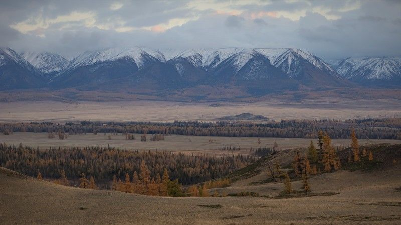 природа,алтай,курайскаястепь,вечер,закат На закате в Курайской степи фото превью