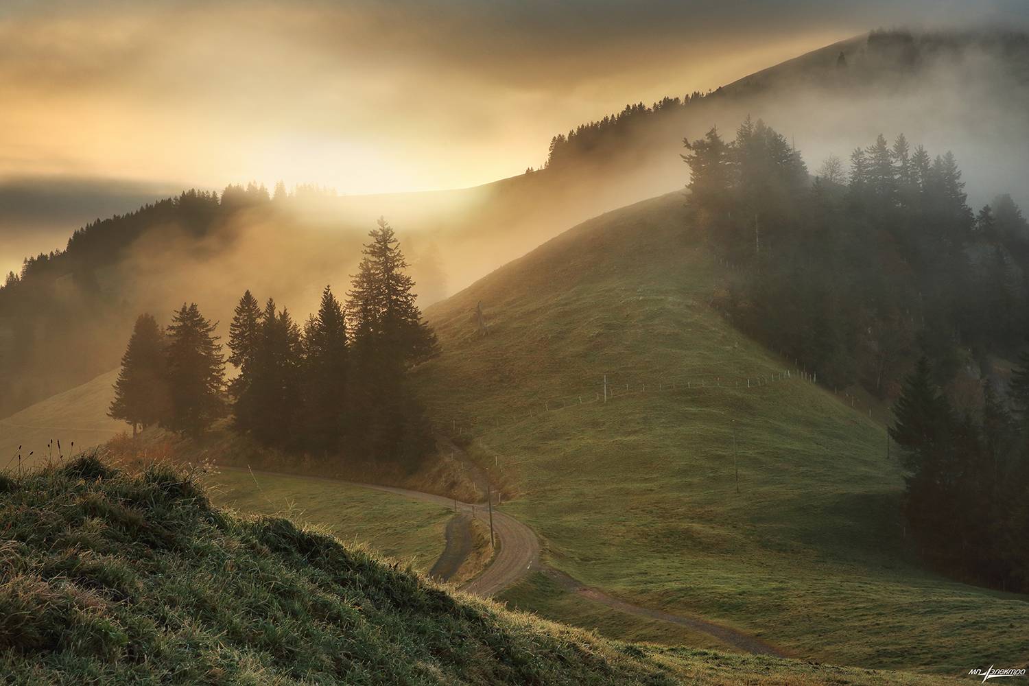 swiss,швейцария,осень,rigi, Матвеев Николай