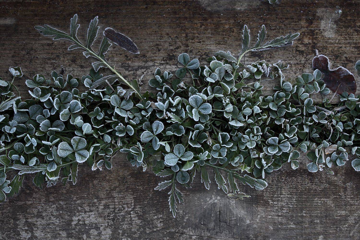 , Сергей Фудиненко