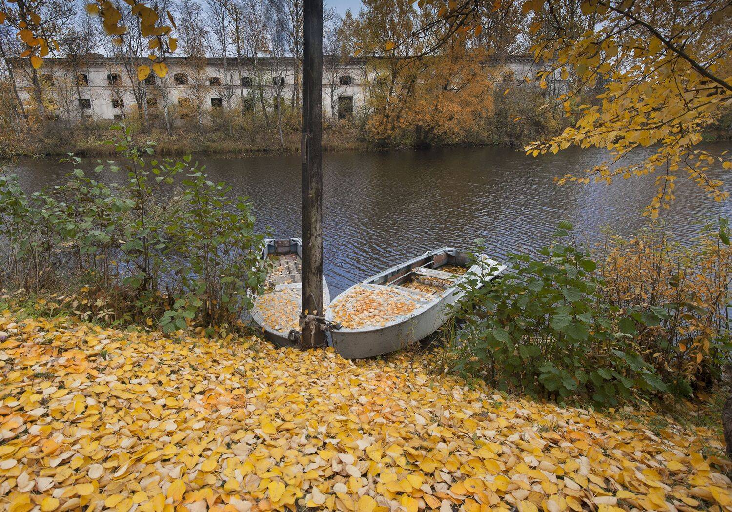 , Георгий Сапожников