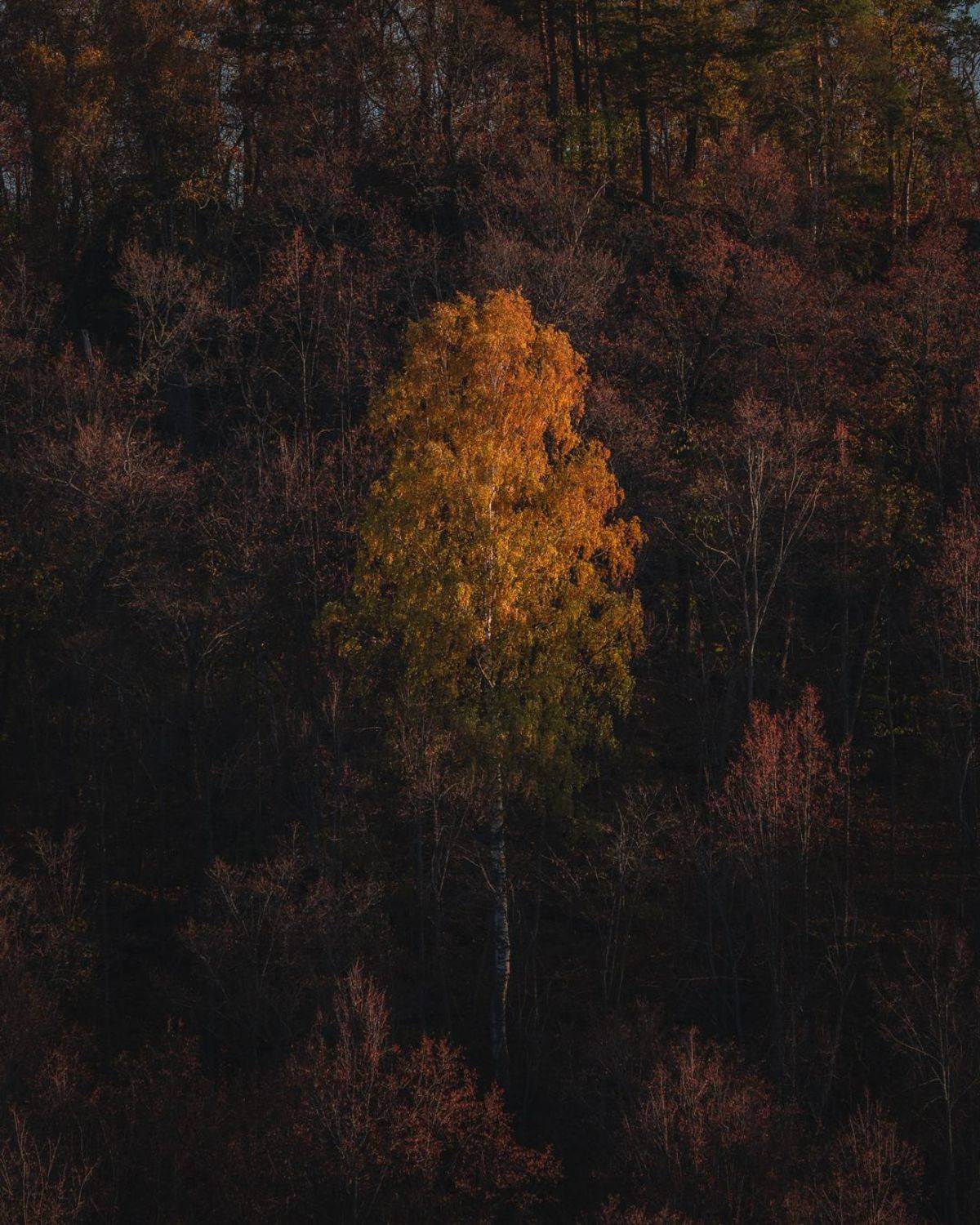 , Эдуард Галеев