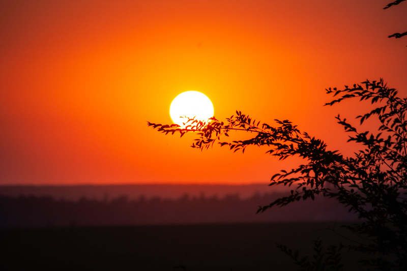 Утомленное солнце. фото превью