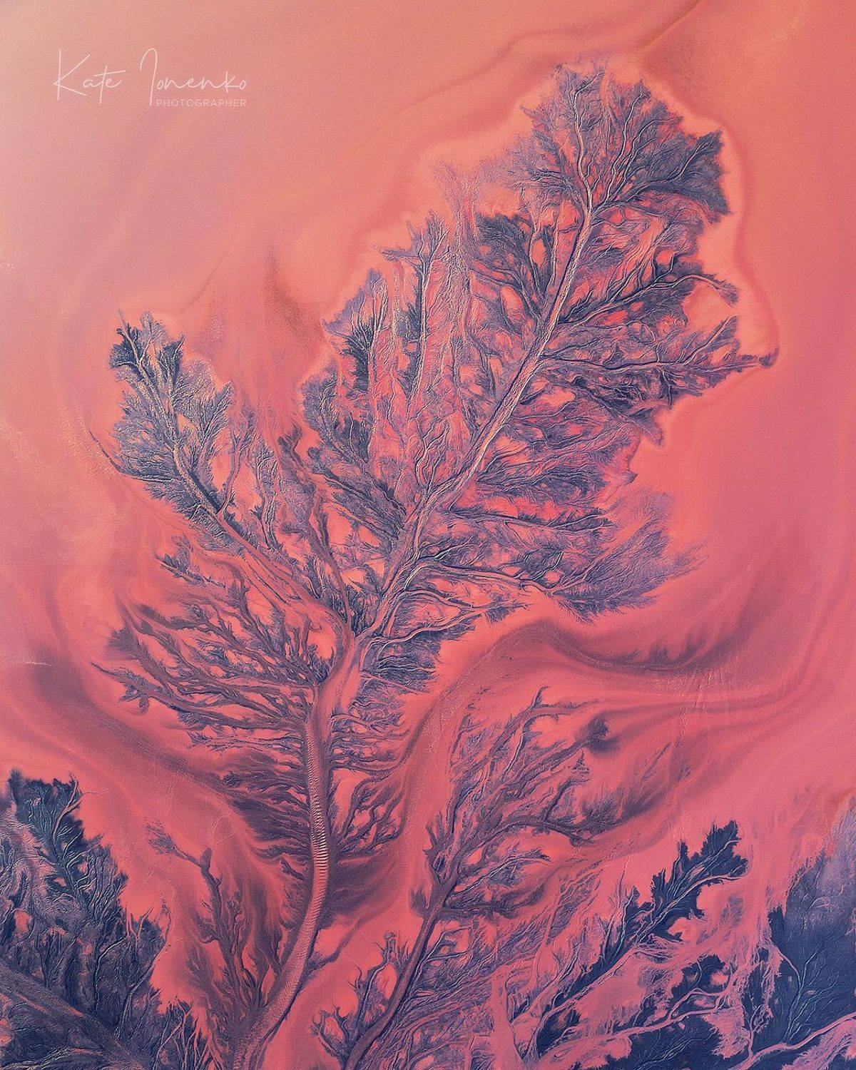 , Екатерина Ионенко