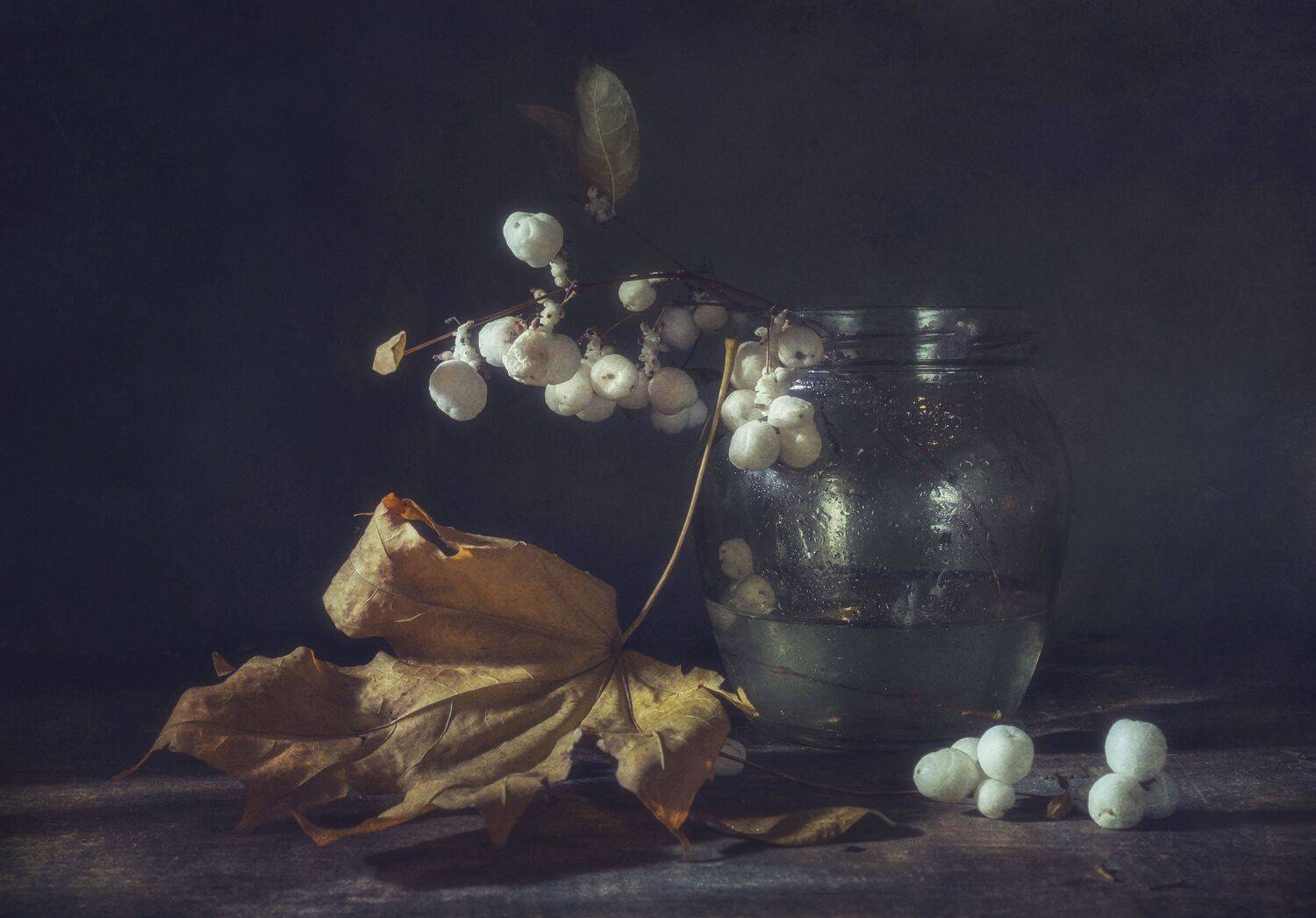 осень,лист,клен,снежноягодник,миг,банка,капли, Владимир Володин