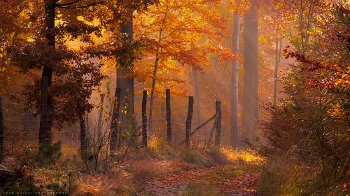 I like to go back to autumn paths.