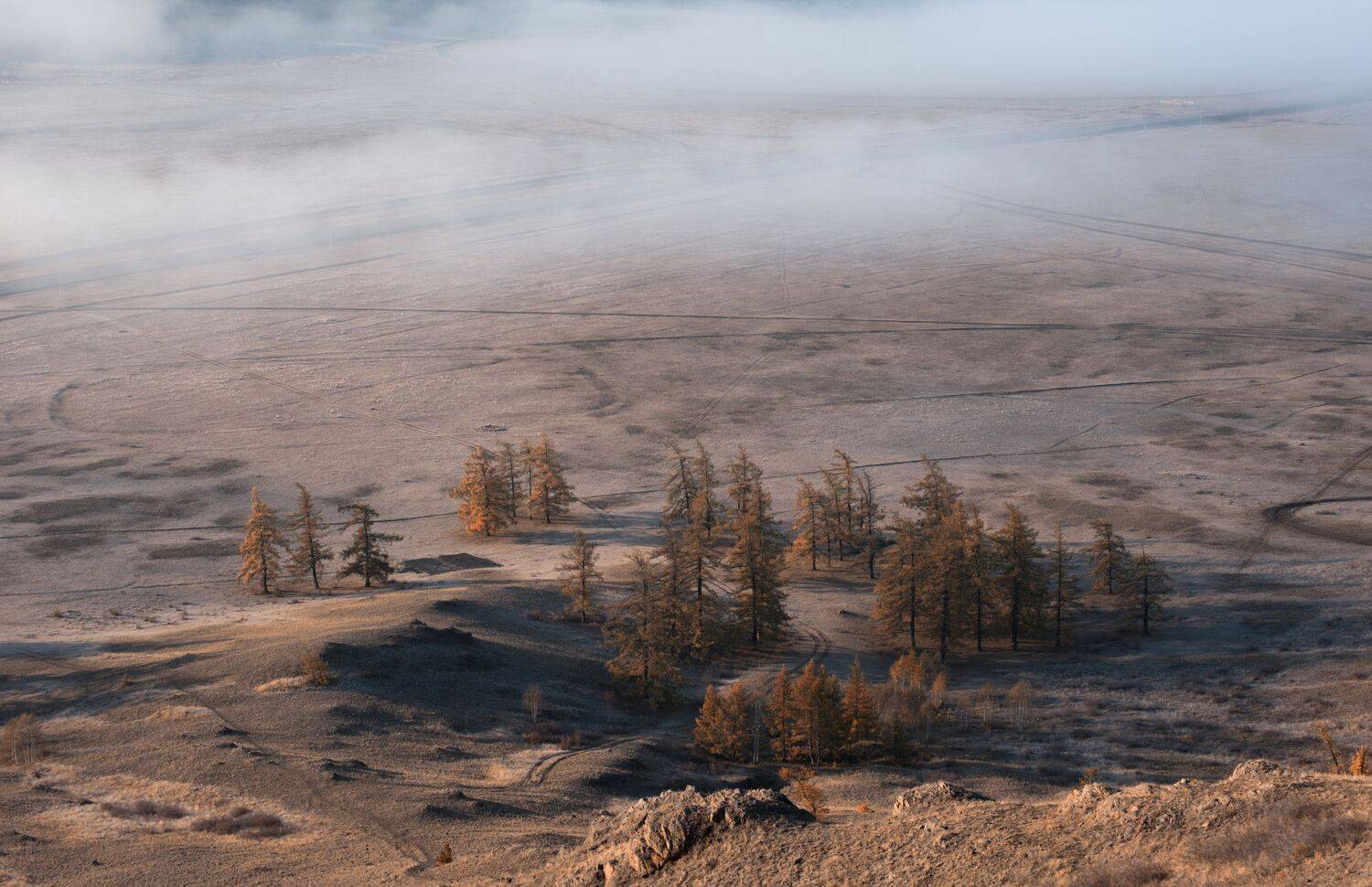 , Максим Ватрушкин