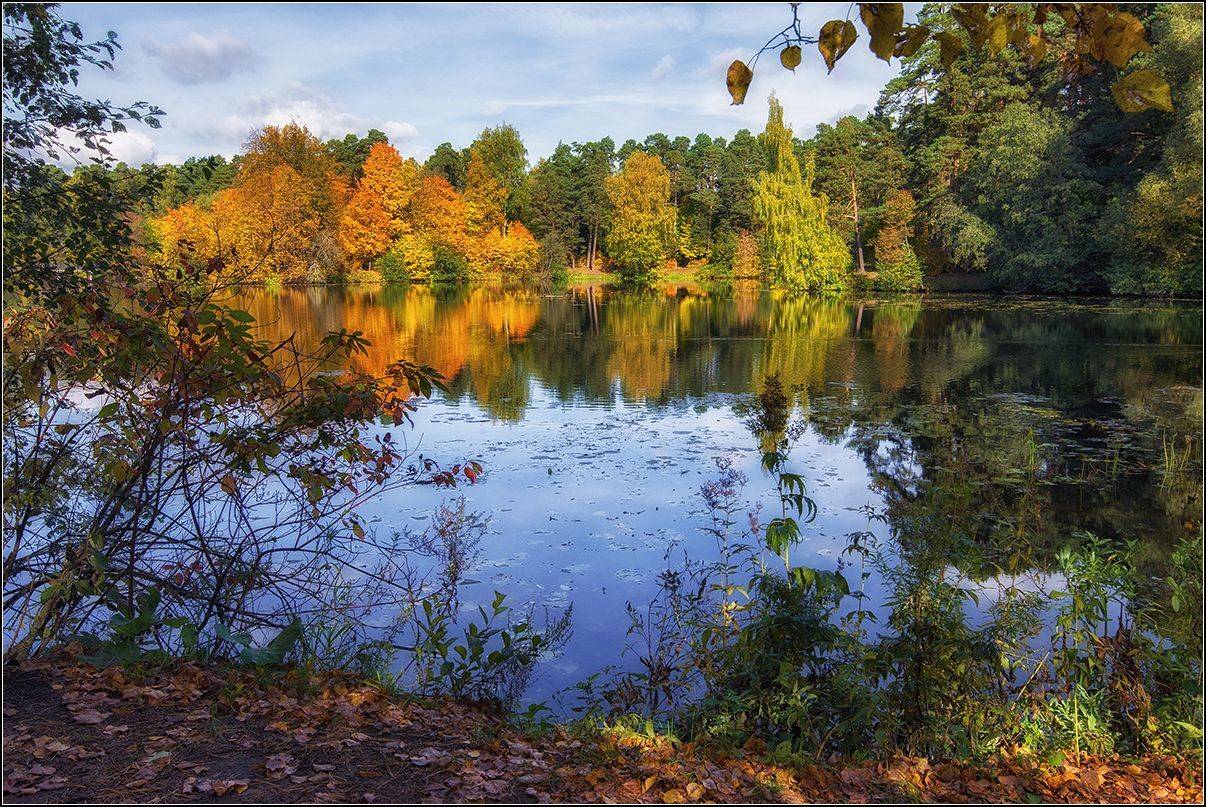 москва, осень, озеро, лес, отражение, АНАТОЛИЙ ДОВЫДЕНКО