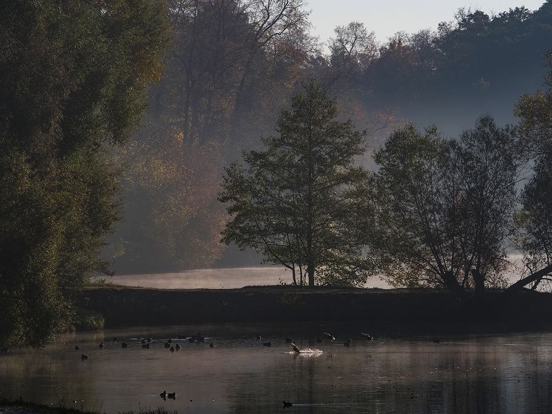 утренние туманы 2 фото превью