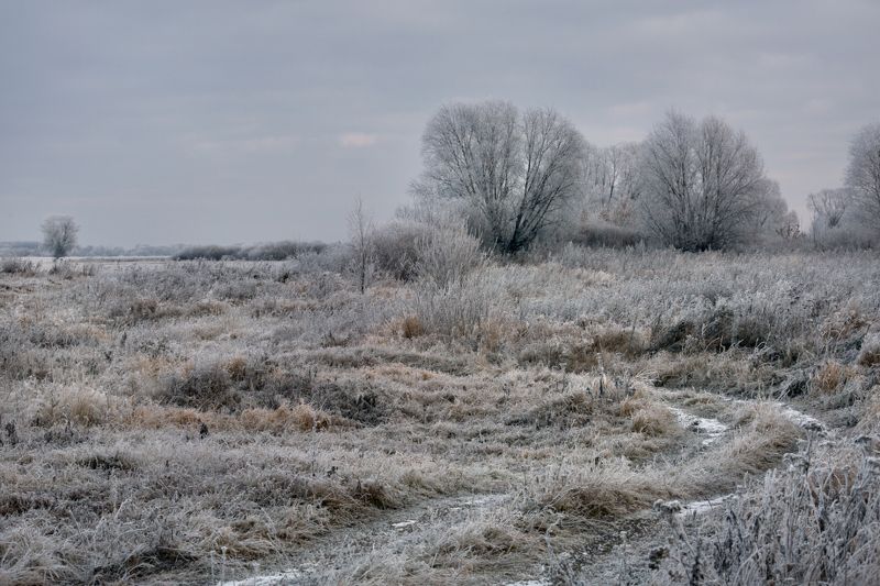 миламиронова, осень, мороз, иней, снег Осеннее утро... фото превью