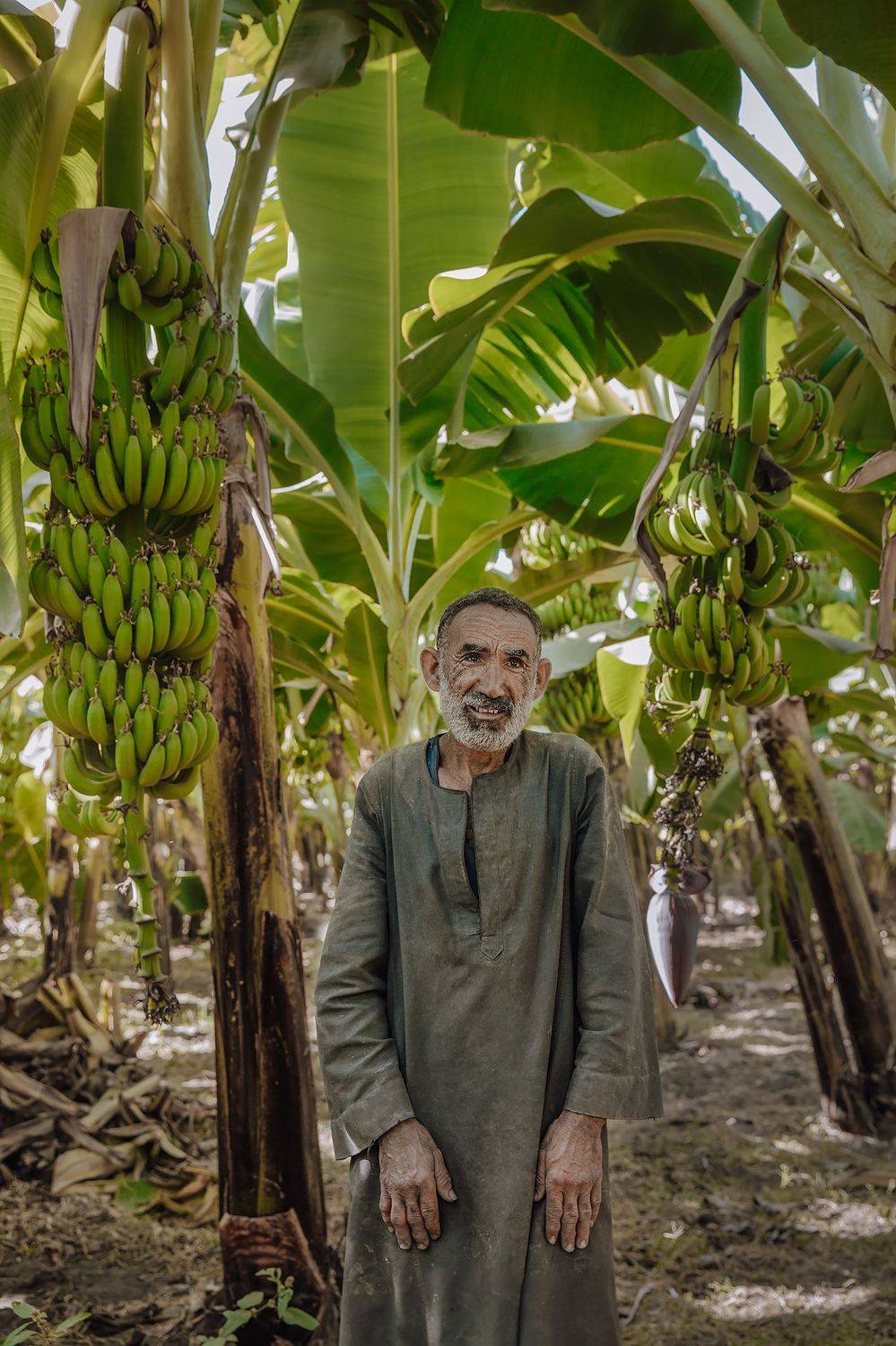 путешествие, египет, портрет, travel, egypt, репортаж, природа, Анастасия Колесникова