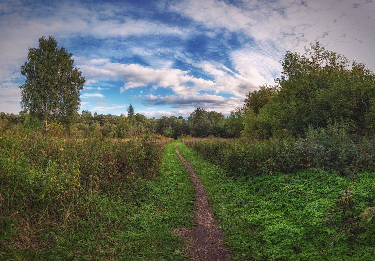 , Константин Дэм