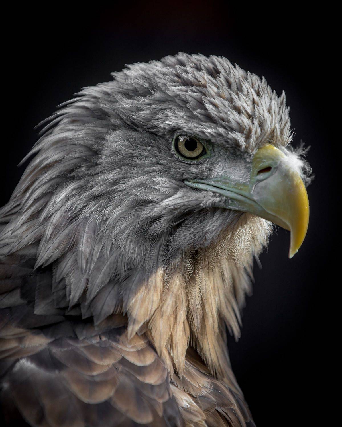 , Логунов Максим