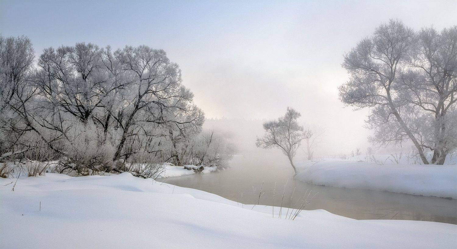 , Анатолий Зверев