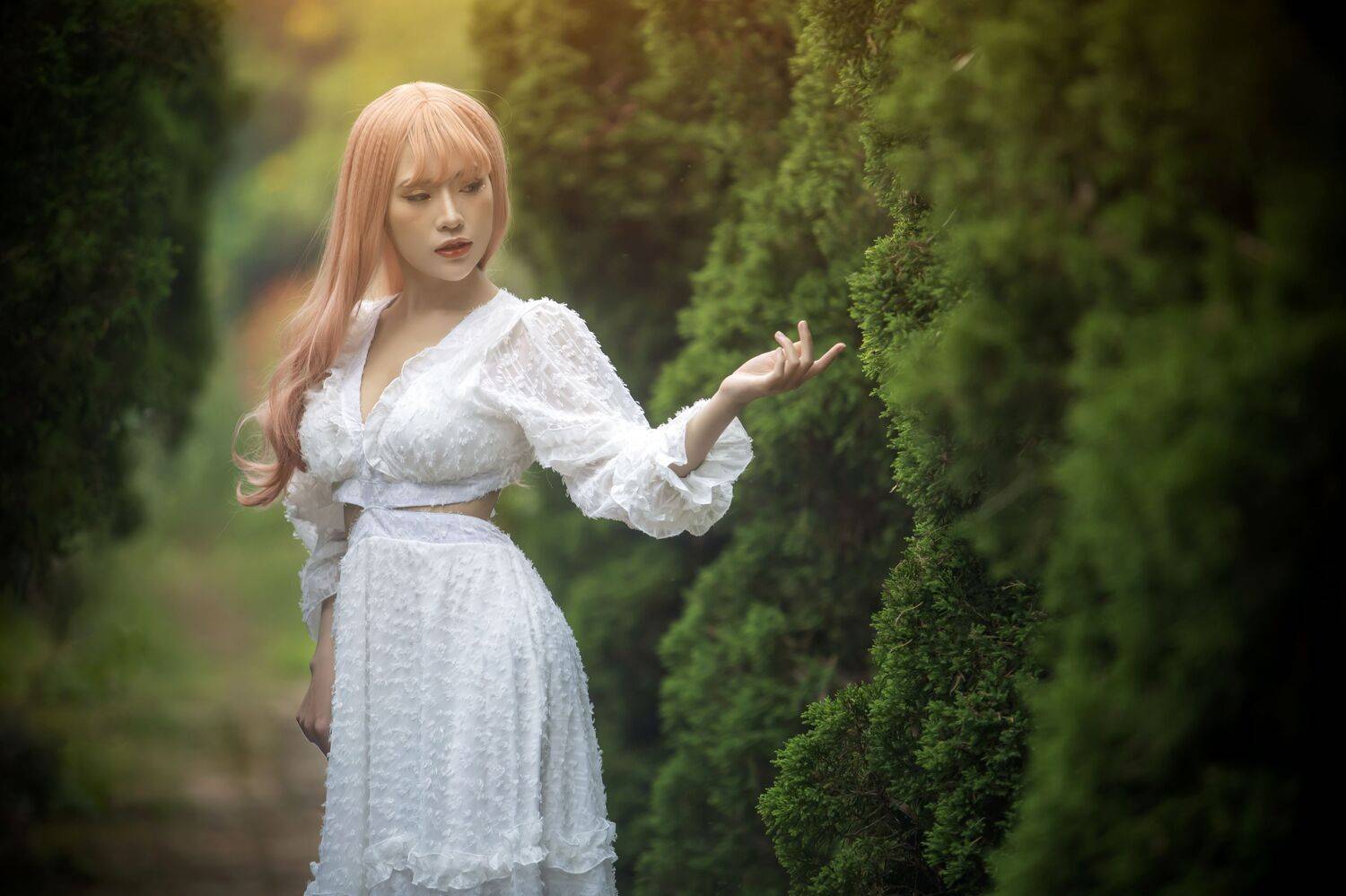 , Nguyễn Ho&agrave;ng Long