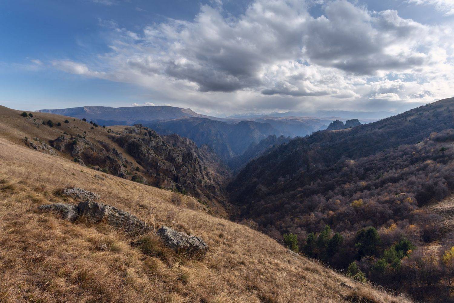 , Юлия Шумляева