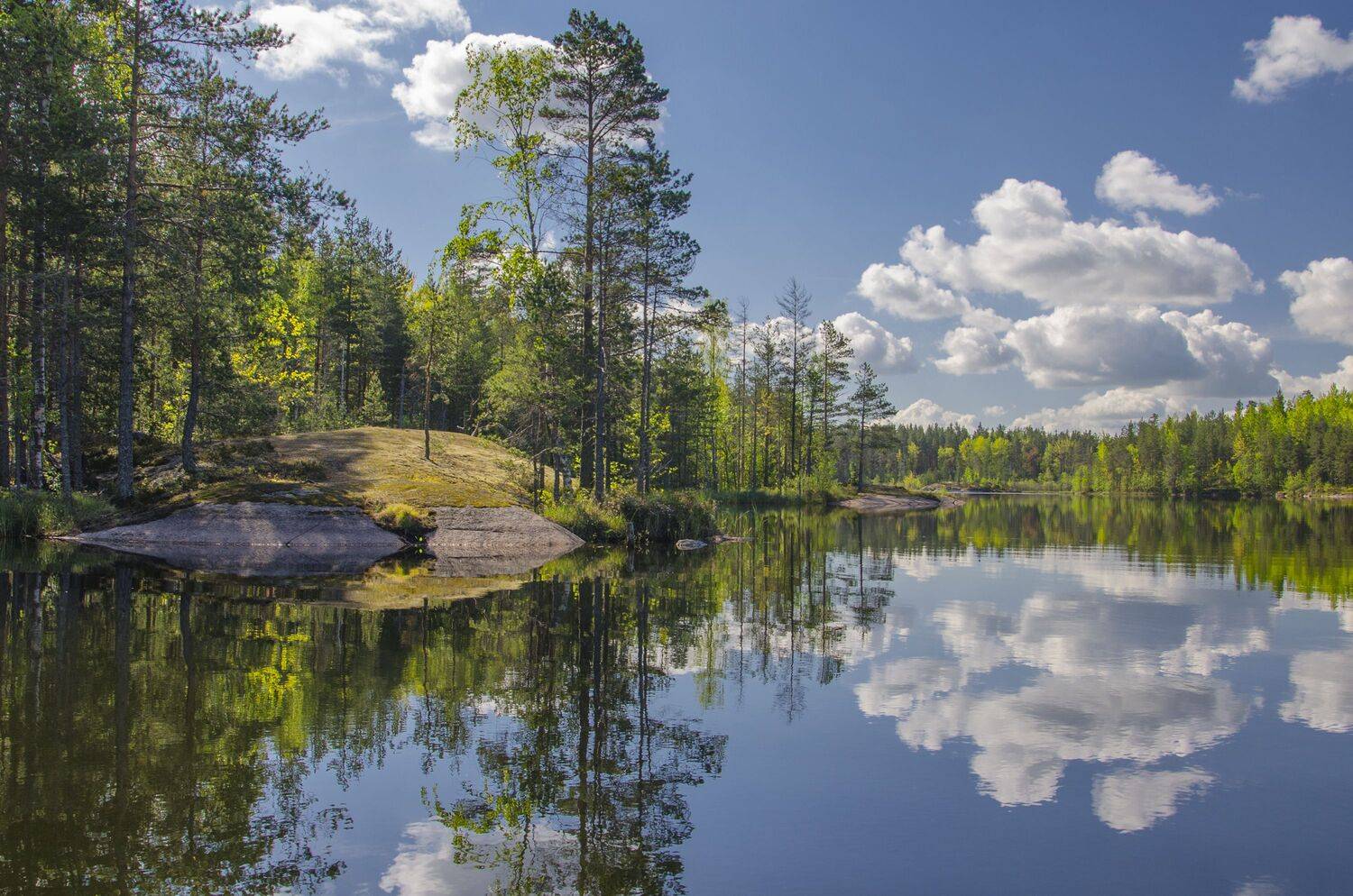 , Александр Березуцкий