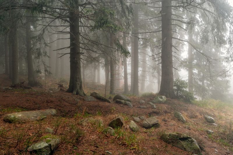 Осень 2021 фото превью