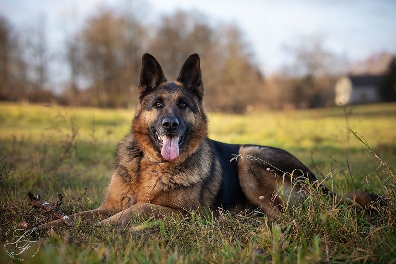 Saturn фото превью