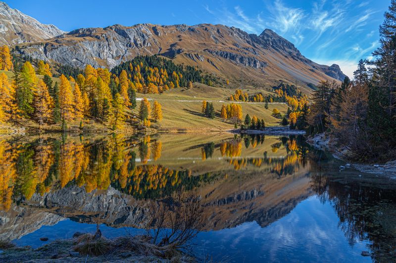 lake, mirror, landscape, nature, mood, switzerland, flora, autumn Lake Palpuogna фото превью