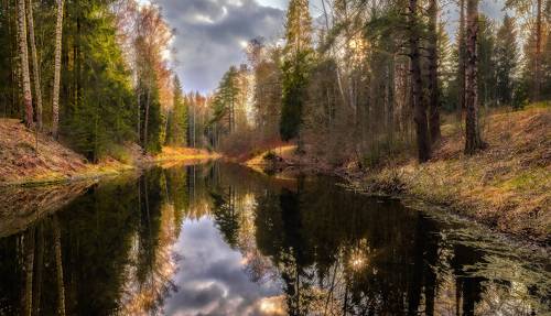 Весенний лес