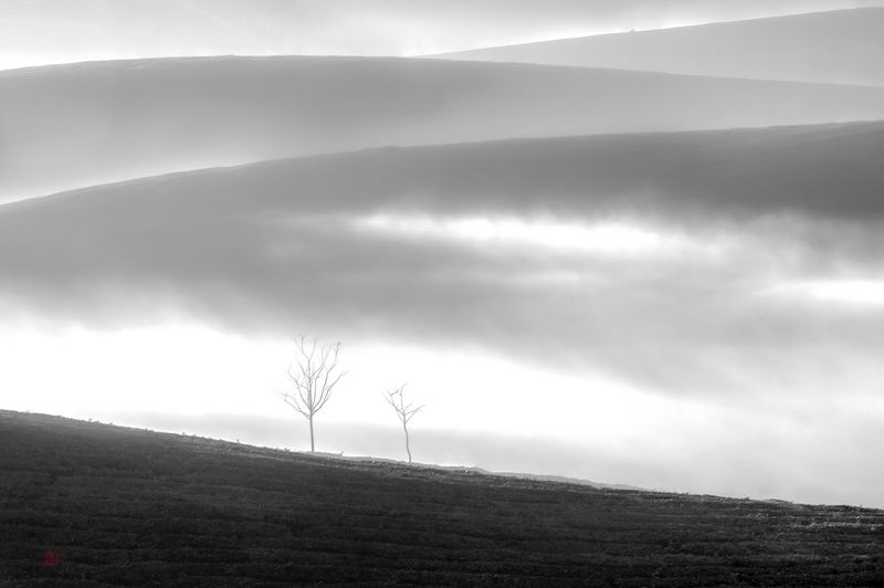 Hills фото превью