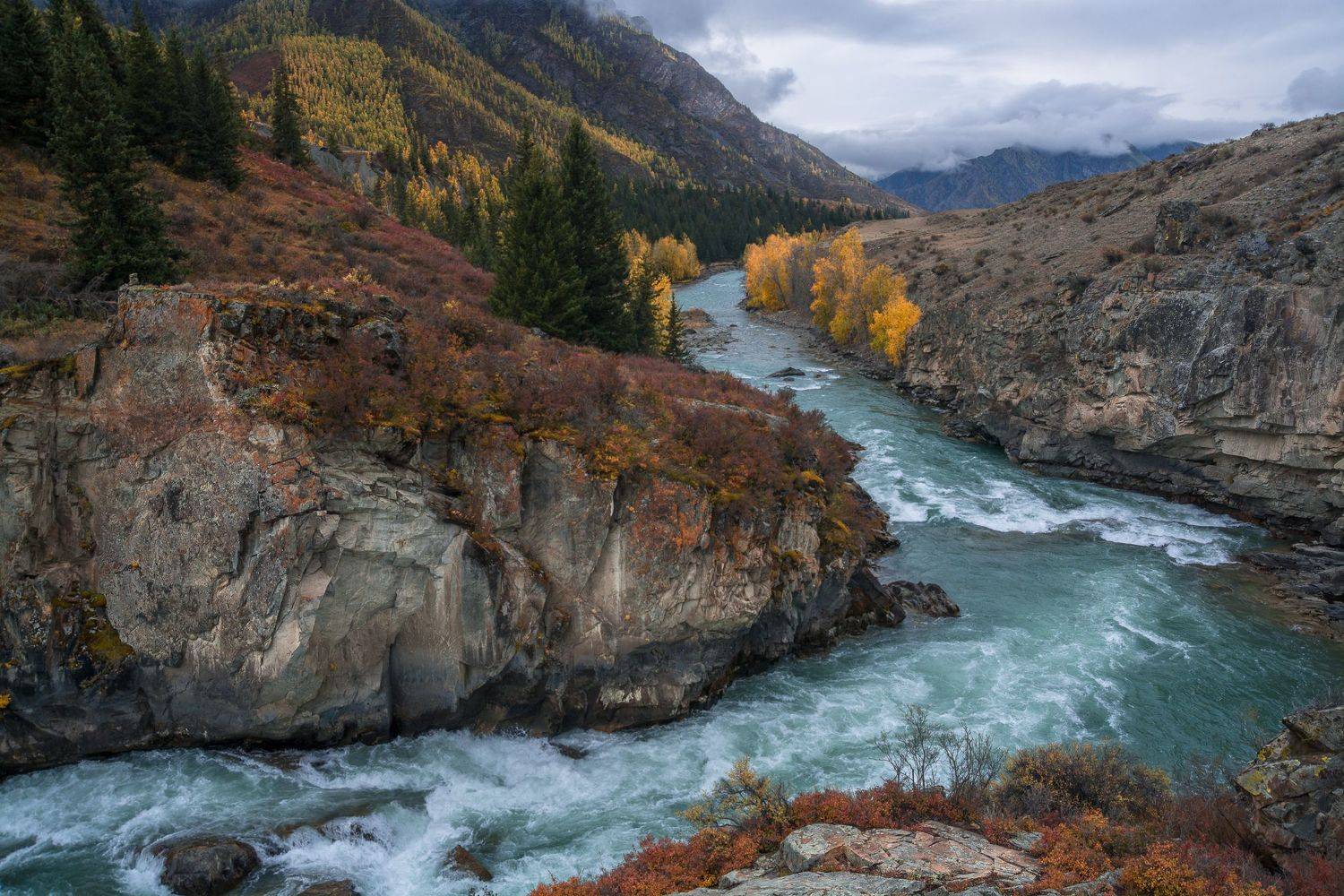россия, горный алтай, река чуя, порог,осень, Андрей Поляков
