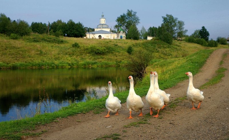 церковь спаса нерукотворного образа, церковь, симеонова тропа, симеон верхотурский, село красногорское верхотурского района, свердловская область На Симеоновой тропе... фото превью