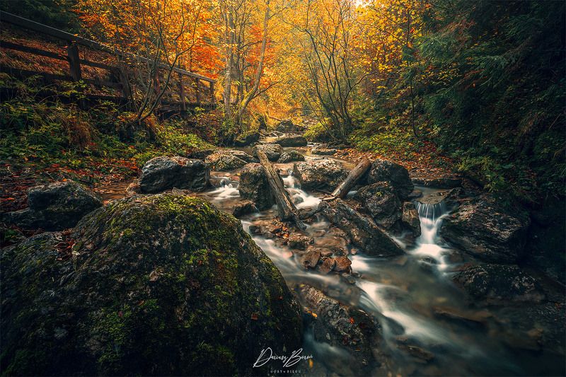 Pieniny Mountains (Homole) фото превью