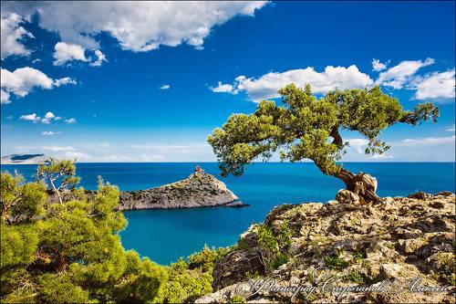 Летний пейзаж с морем, Крым, Новый Свет, царский пляж и мыс Капчик