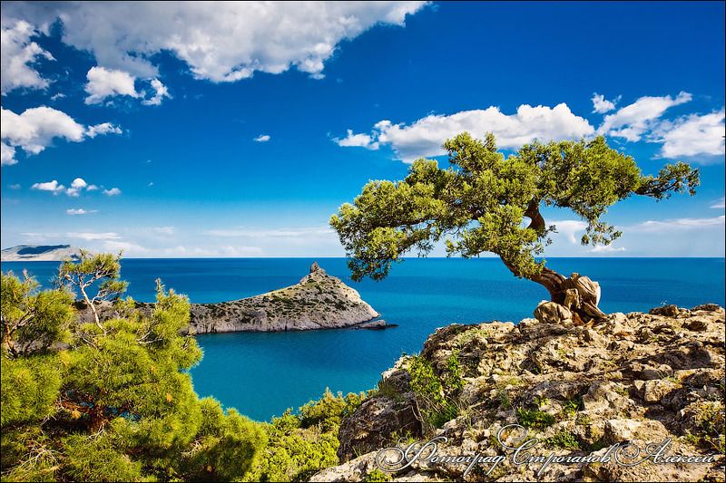 пейзаж, крым, лето, новый свет, фотограф, природа, красота, фотохудожник, море, горы, ландшафт, фотограф в испании, natgeo, картина, отркытка Летний пейзаж с морем, Крым, Новый Свет, царский пляж и мыс Капчик фото превью