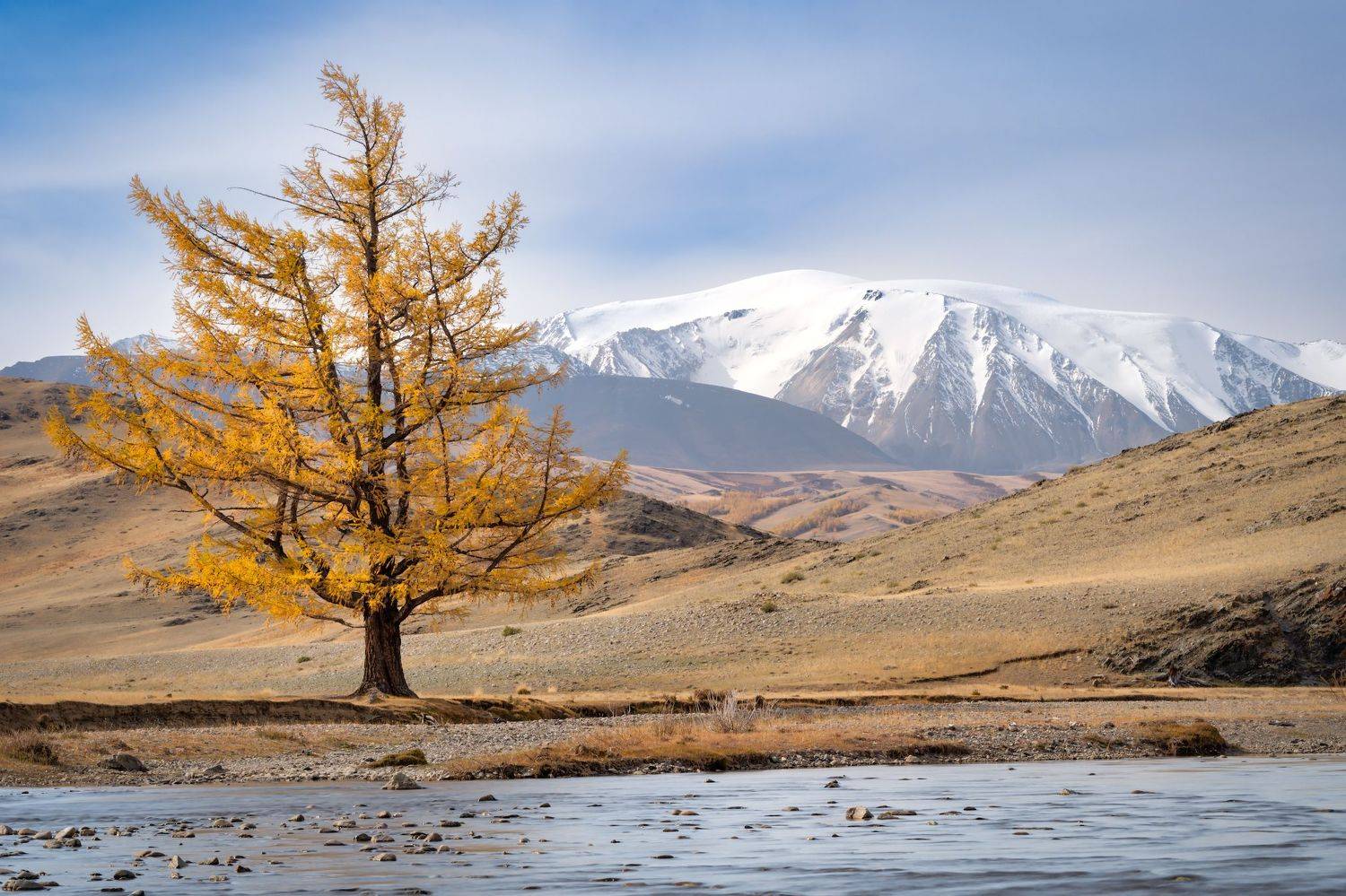 тыва, тува, осень, горы, монгун-тайга, fujifilm., Константин Леонтьев