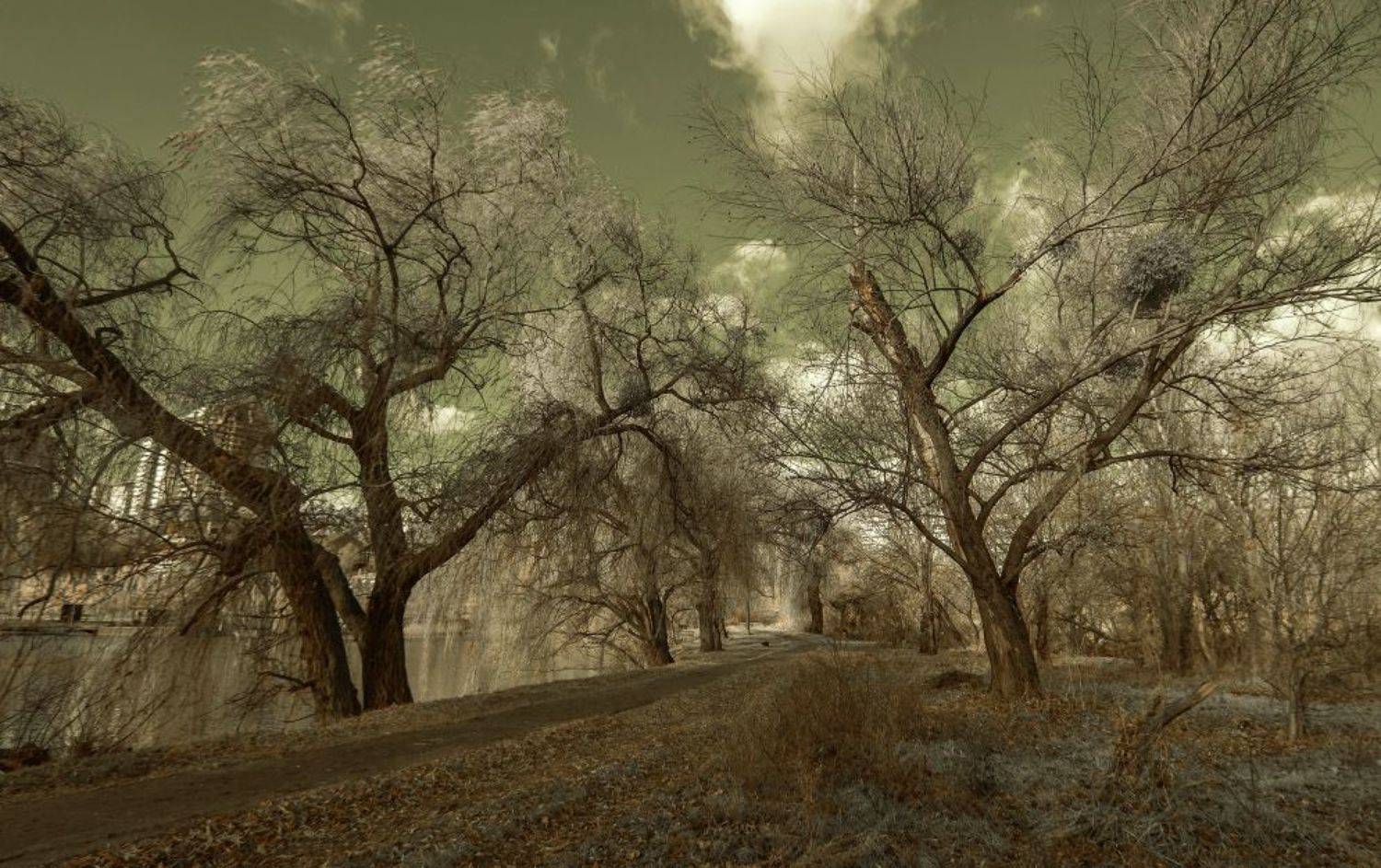 инфракрасный, ИгорьВл