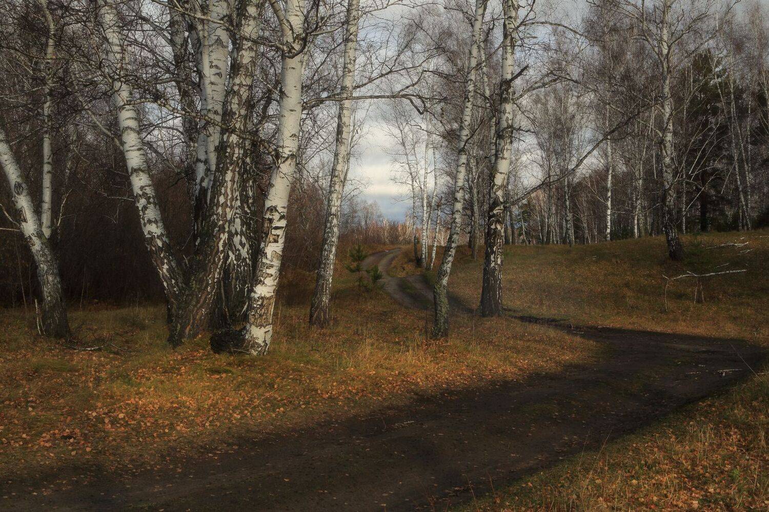 , Евгений Зинов