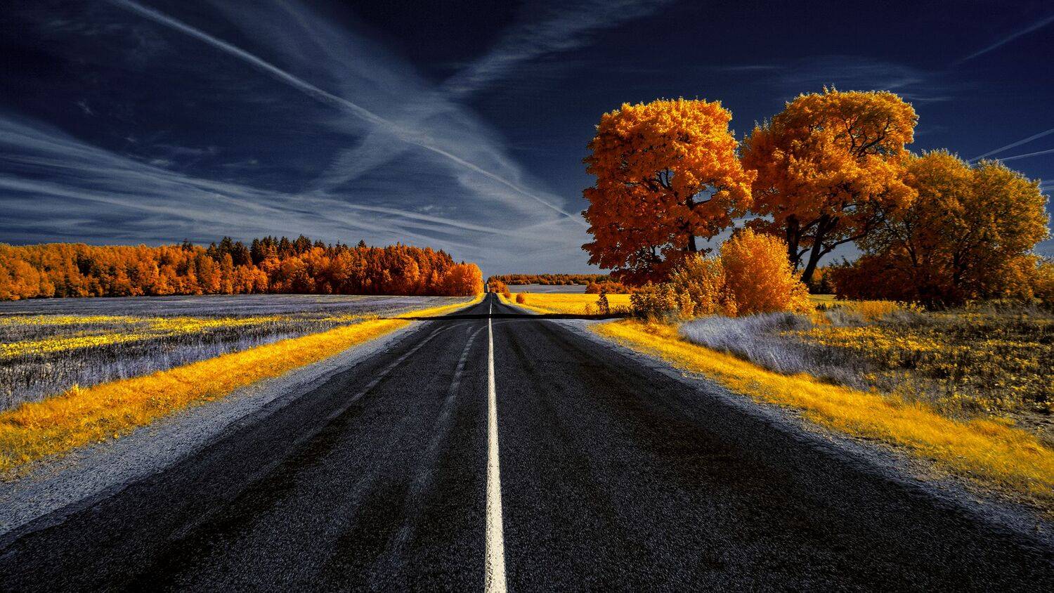 infrared,ик-фото,инфракрасное фото, инфракрасная фотография, пейзаж, осень, Sixten ( Сергей )