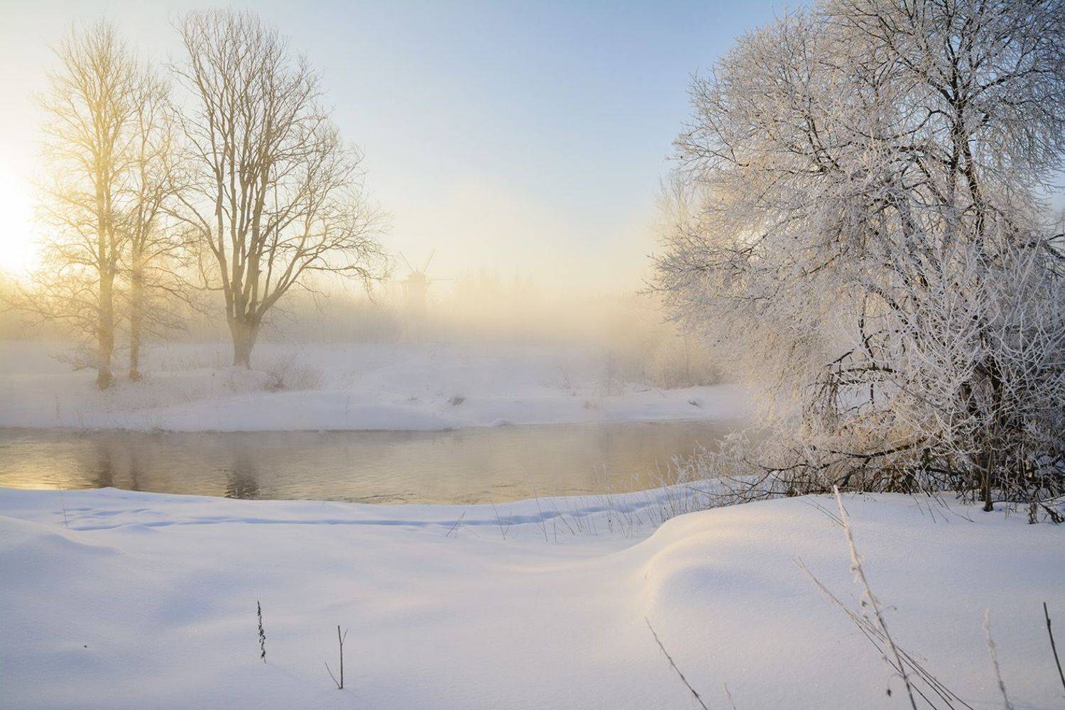 , Анатолий Зверев