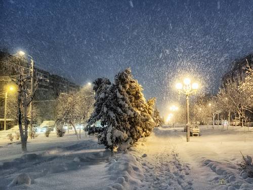 Morning snowfall